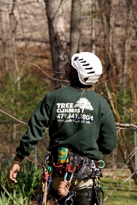 Fayetteville Arkansas