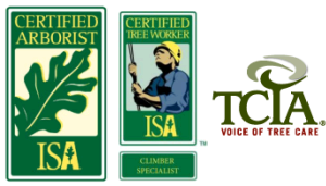 certifications