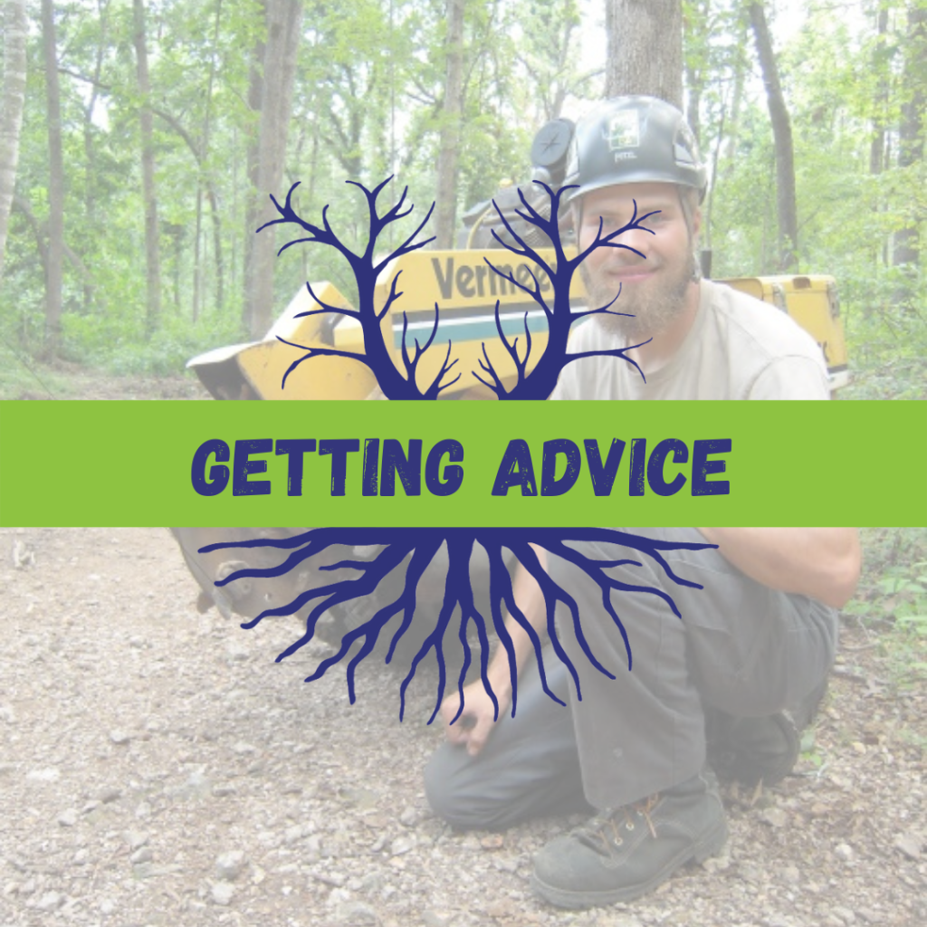 Tree Climbers Tree Services