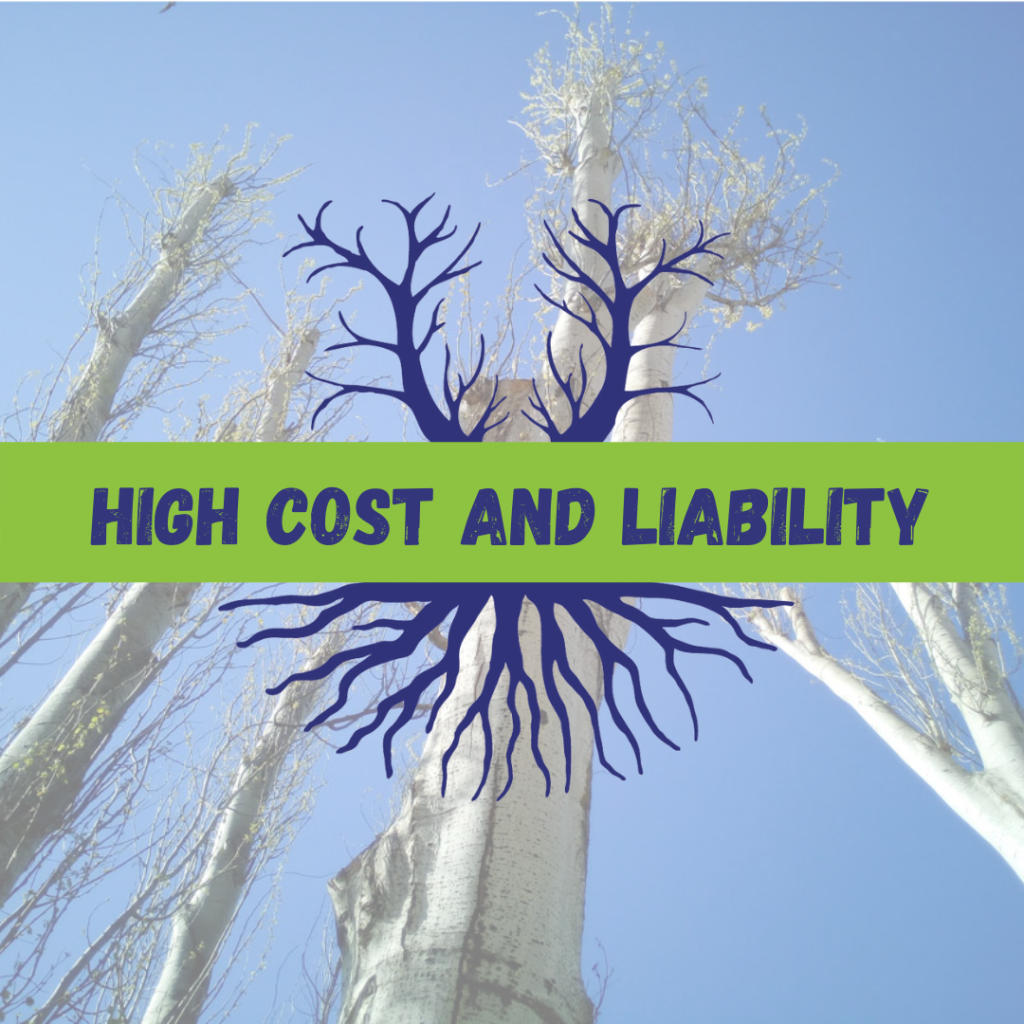 Tree Climbers Tree Services