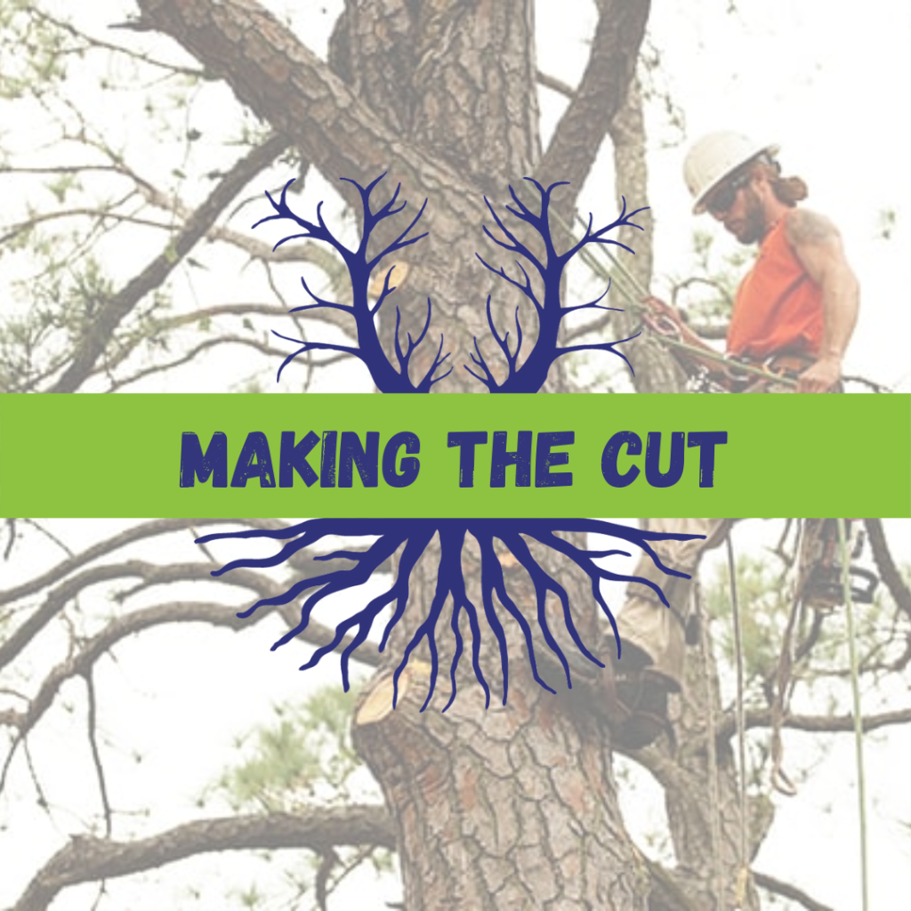 Tree Climbers Tree Services