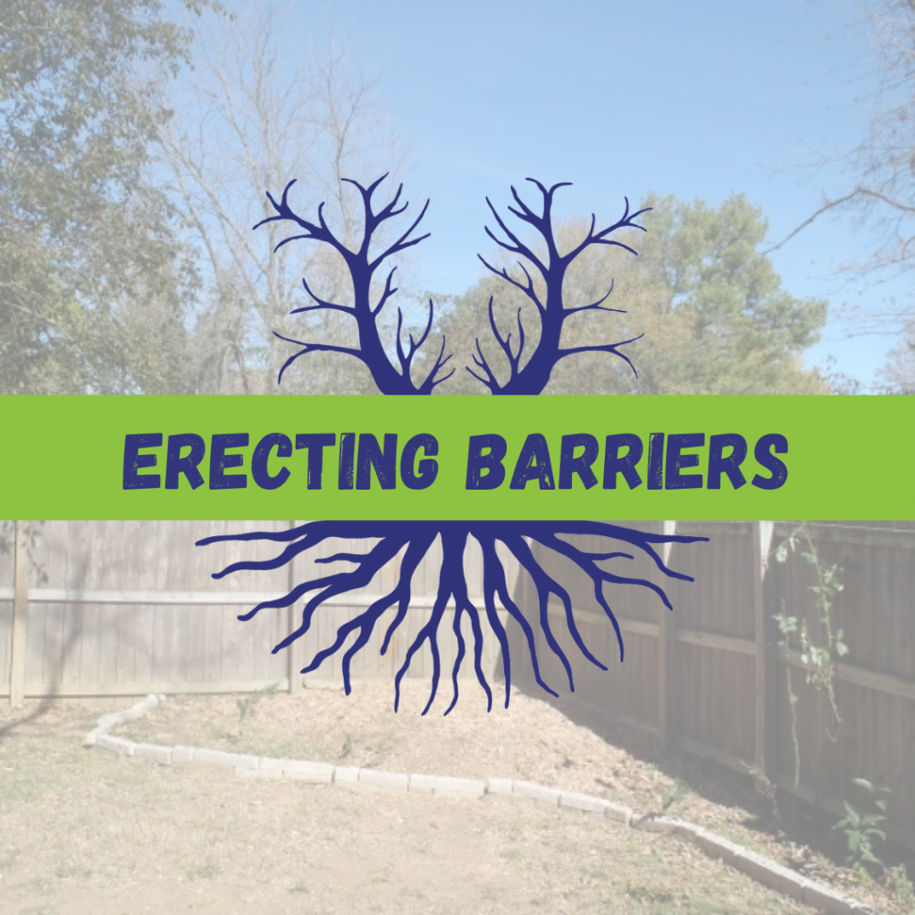 Tree Climbers Tree Services