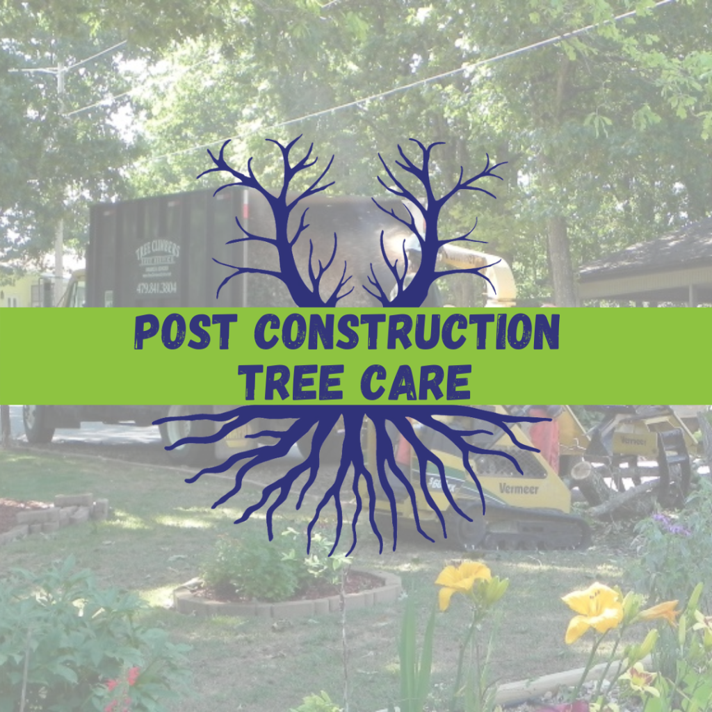 Tree Climbers Tree Services