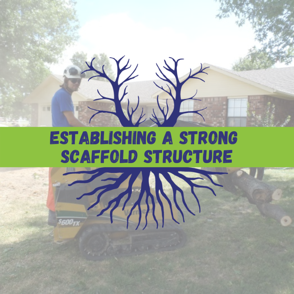 Tree Climbers Tree Services