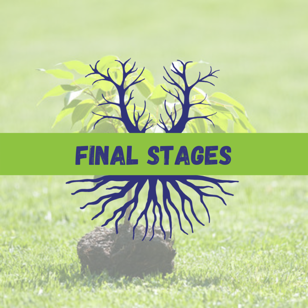 Tree Climbers Tree Services