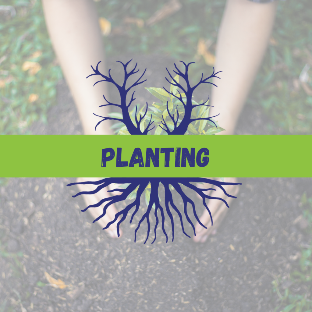 Tree Climbers Tree Services