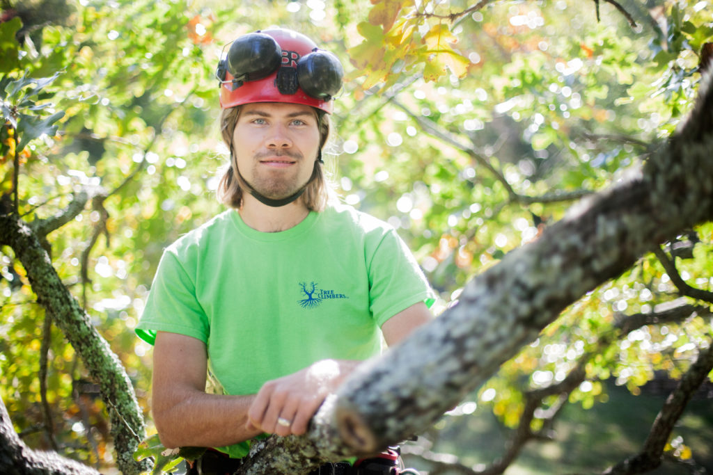 Crew - Tree Climbers Tree Services