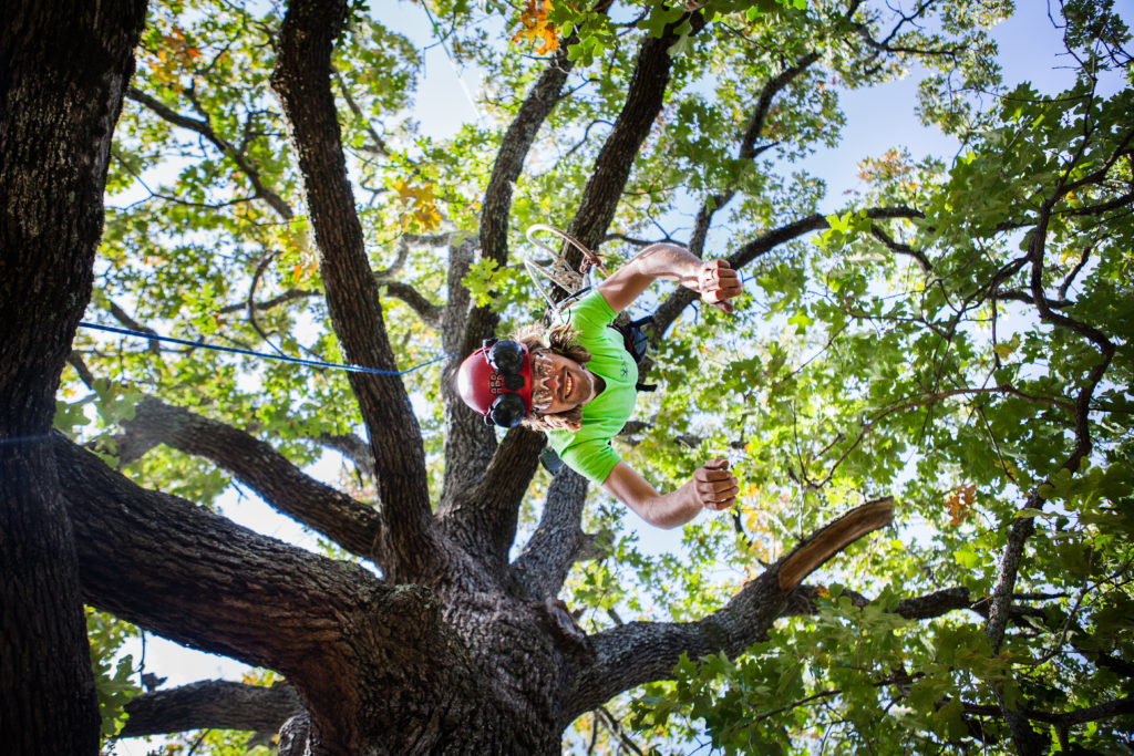 Recent Competitions Tree Climbers Tree Services