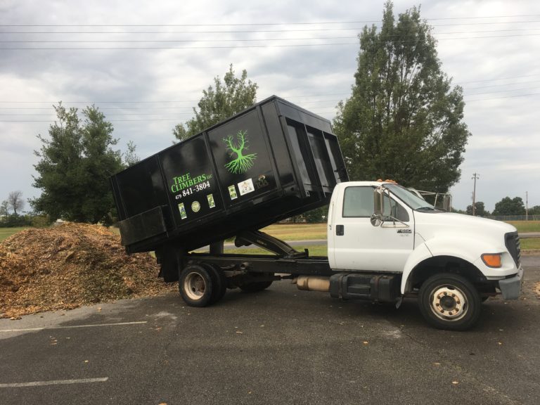 Free Wood Chips Tree Climbers Tree Services