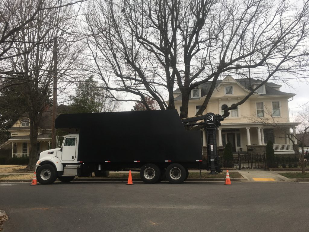 Tree Climbers Tree Services