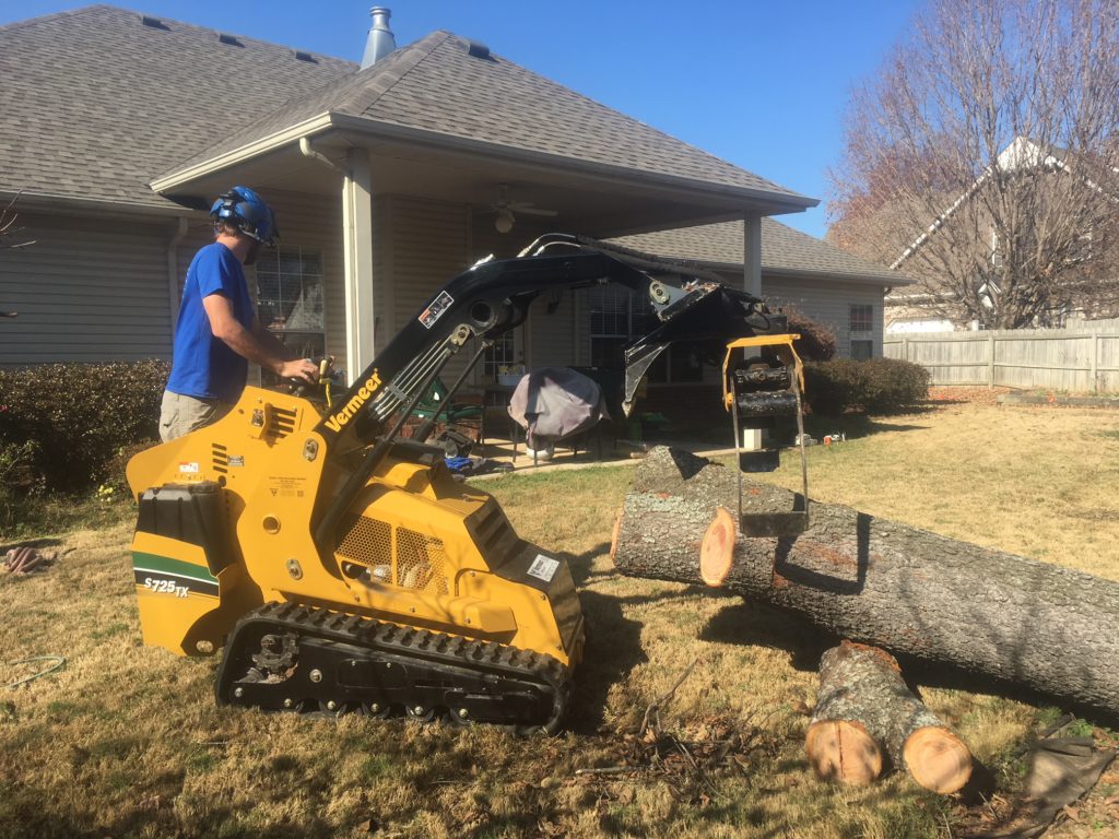 Tree Climbers Tree Care Fayetteville AR