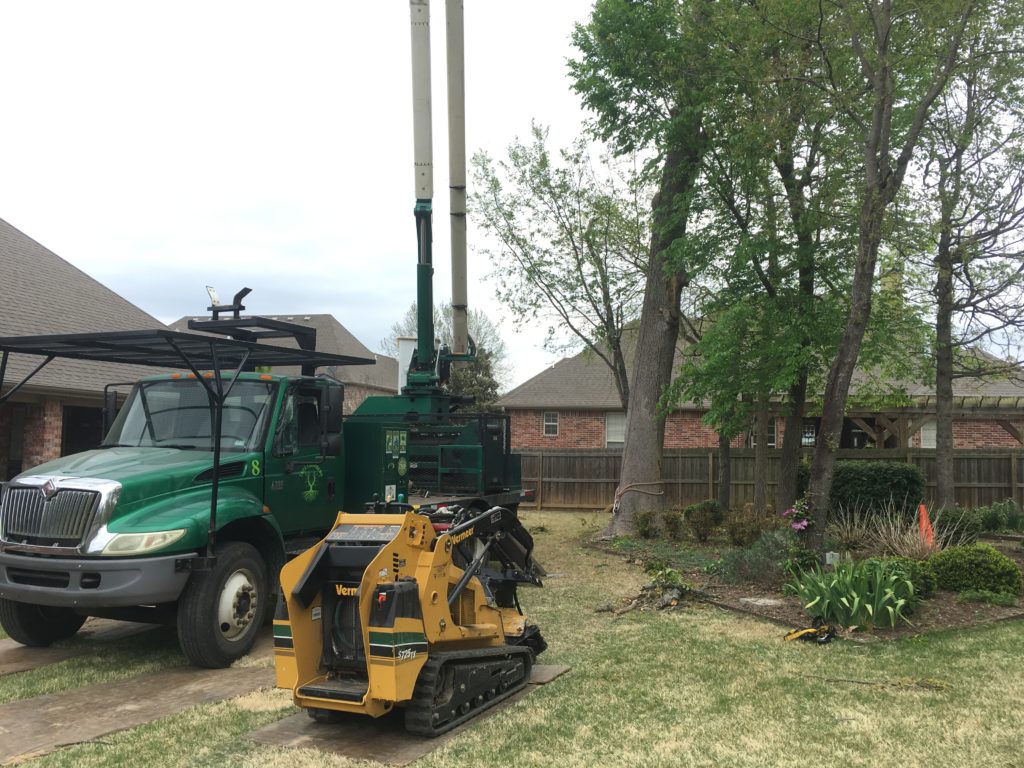 Tree Climbers Tree Care Fayetteville AR