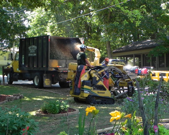 Tree Climbers Tree Care Fayetteville AR