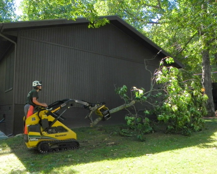 Tree Climbers Tree Care Fayetteville AR