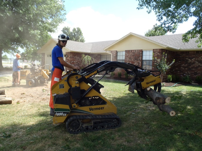 Tree Climbers Tree Care Fayetteville AR