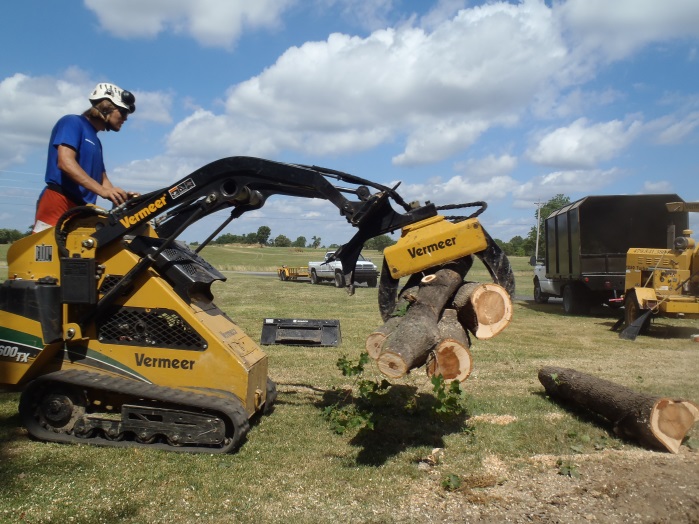 Tree Climbers Tree Care Fayetteville AR
