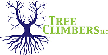 Tree Climbers Tree Care Fayetteville AR