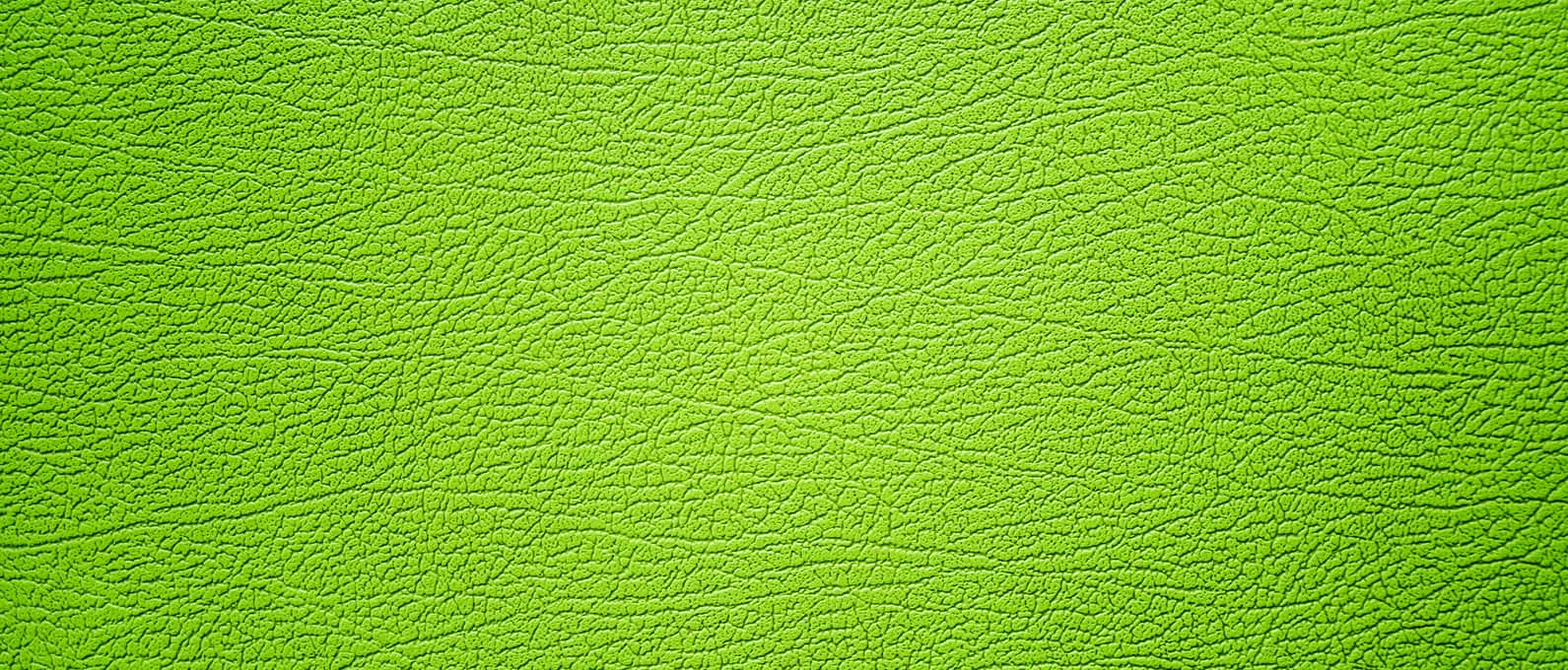 Tree Climbers Tree Care Fayetteville AR