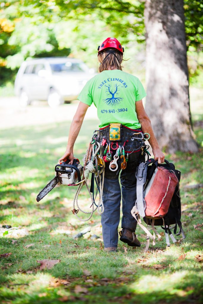 Tree Climbers Tree Care Fayetteville AR